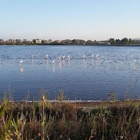 Flamingo View Apartment